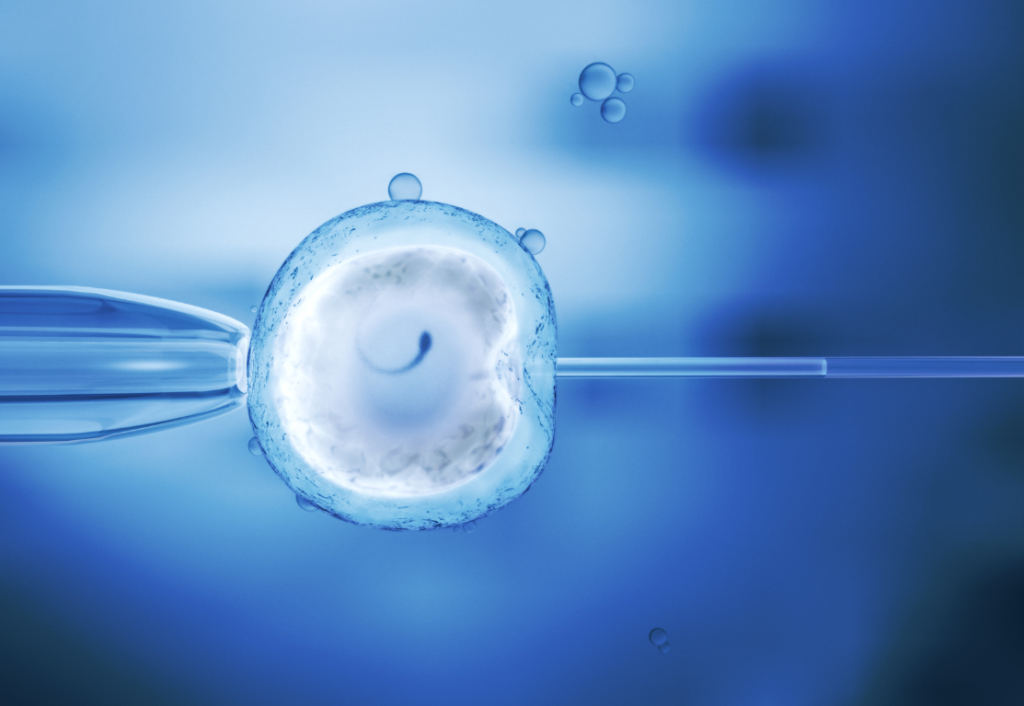 Embryo Shipping
