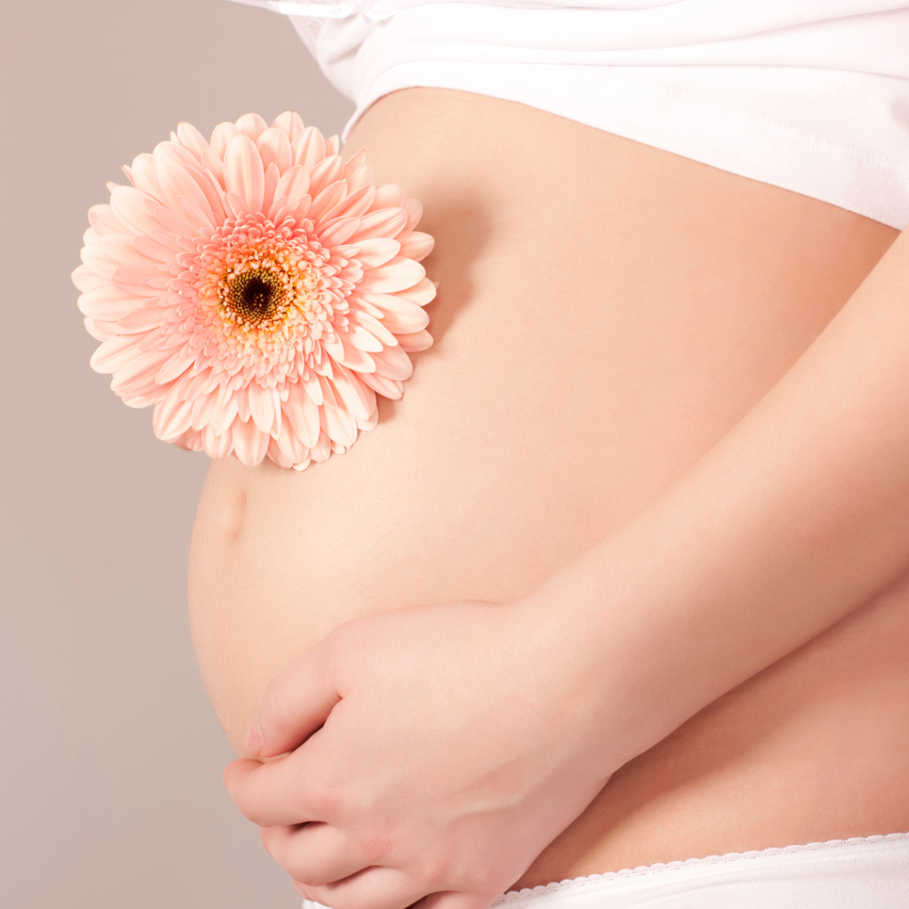 demonstrative image of a pregnant woman with a flower on her belly