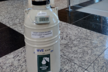 Cryopreservation of sperm and eggs