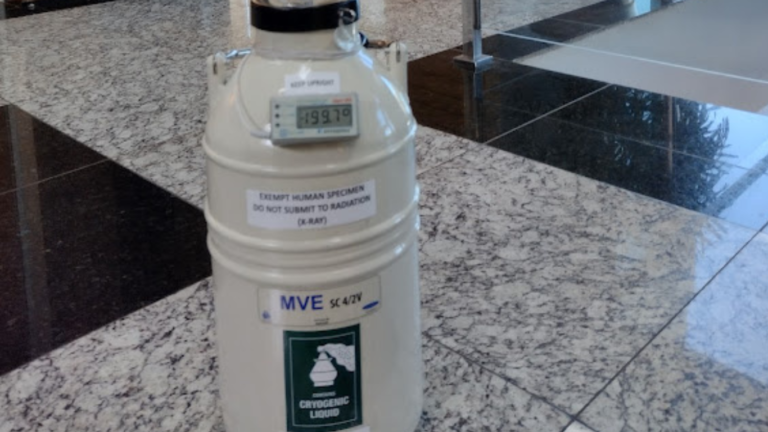 Cryopreservation of sperm and eggs
