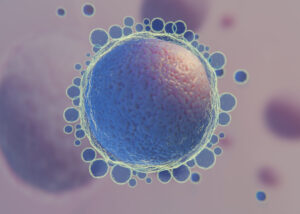 Image of a cell under a microscope blog article from mondo ivf about oocyte rejuvenation