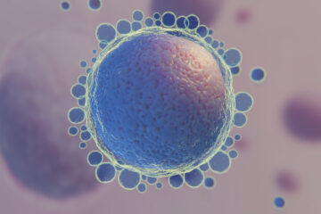 Image of a cell under a microscope blog article from mondo ivf about oocyte rejuvenation