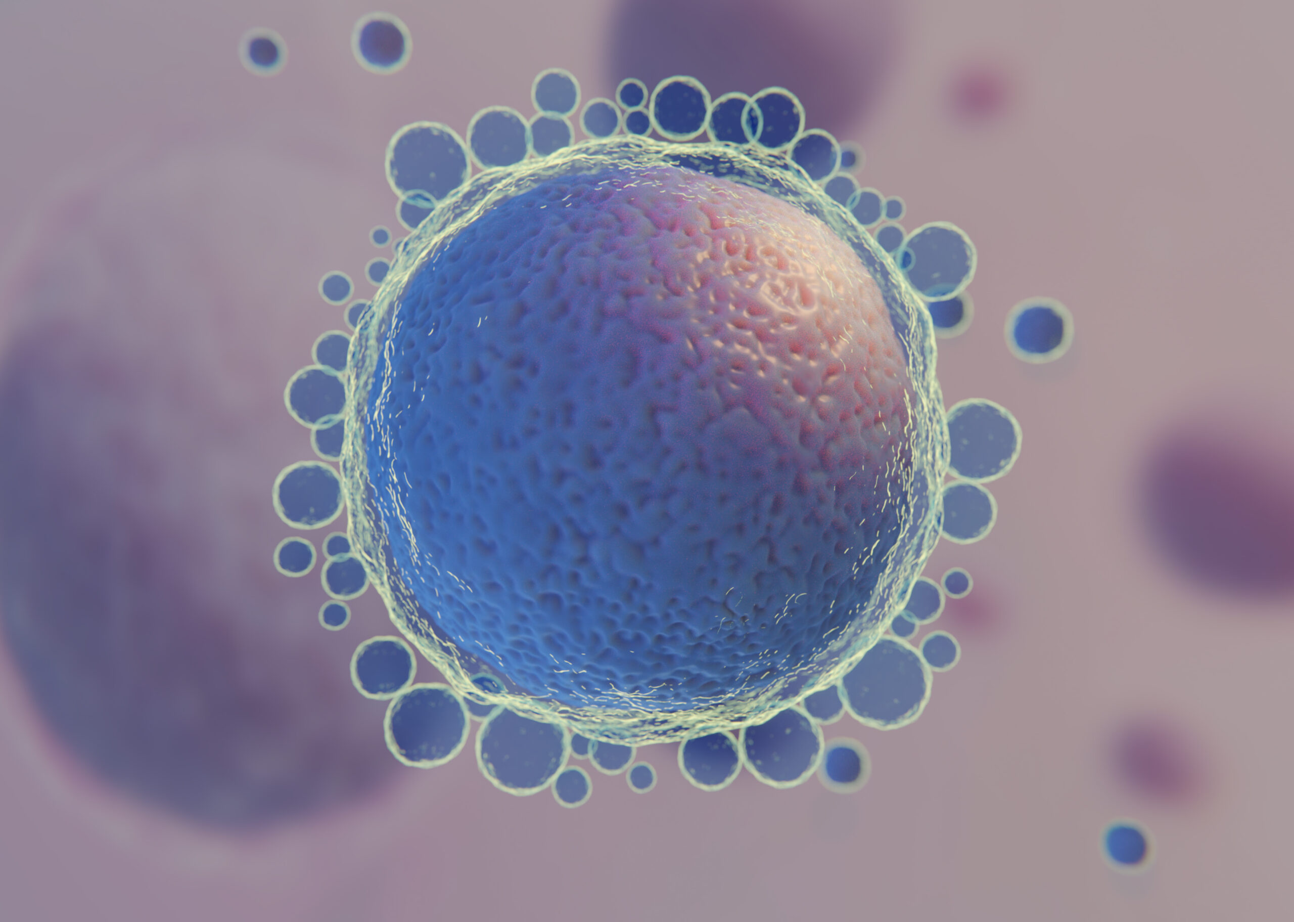 Image of a cell under a microscope blog article from mondo ivf about oocyte rejuvenation